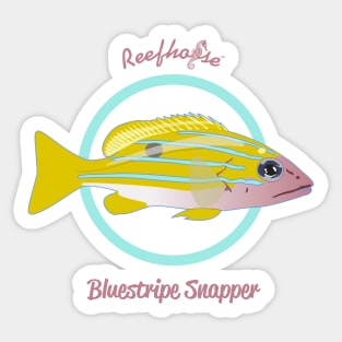 Bluestripe Snapper Sticker